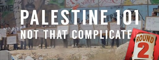 Palestine 101