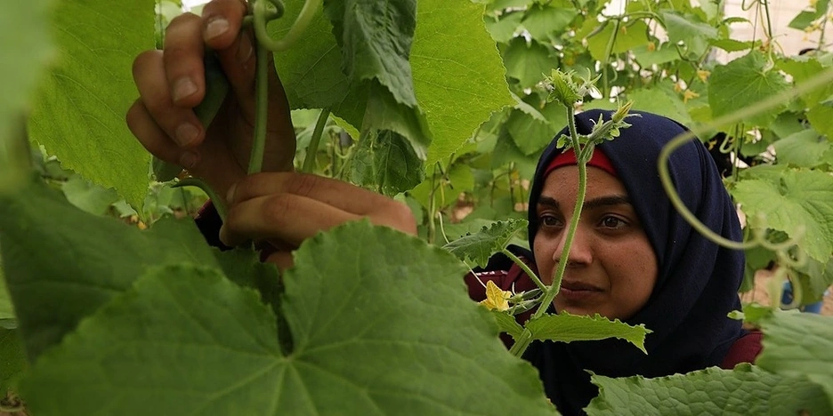 Food Sovereignty