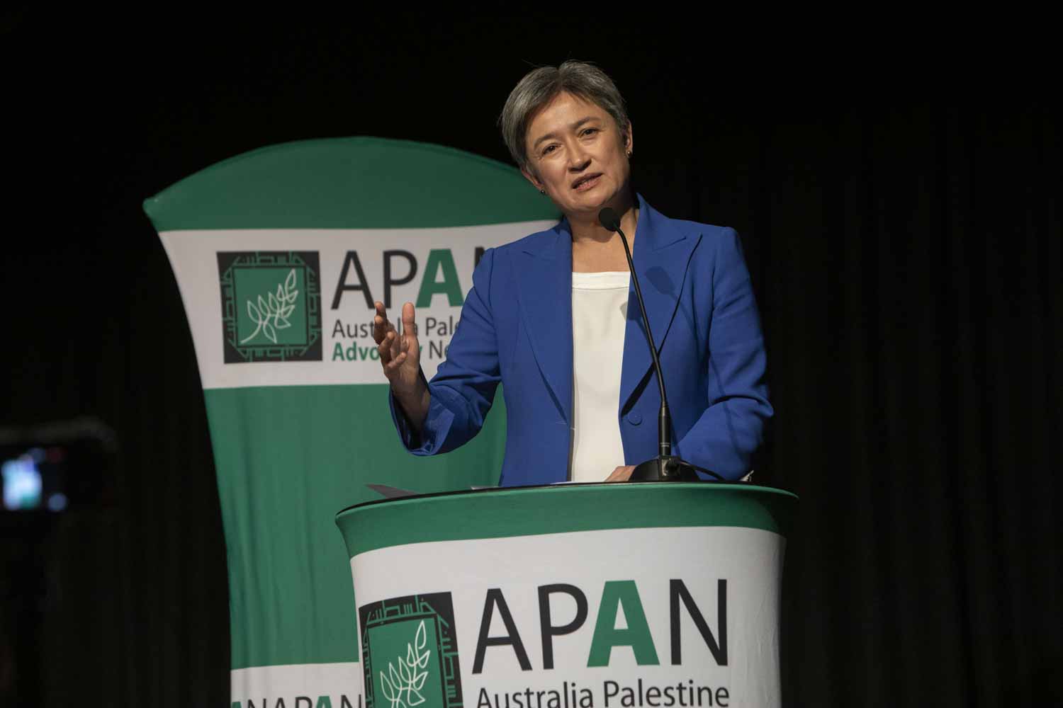 Photo of Penny Wong with APAN banner